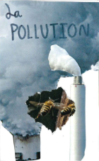 La pollution